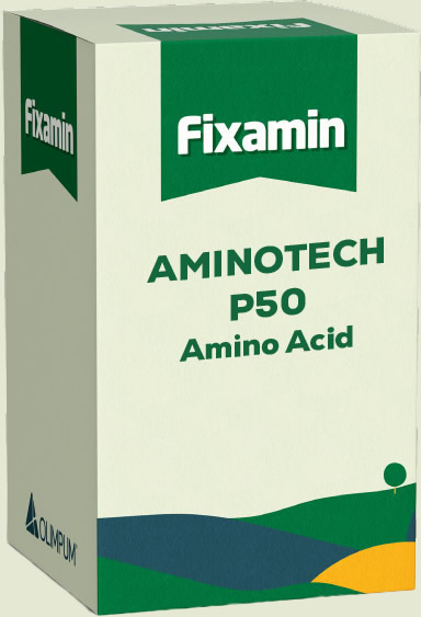 Fixamin Aminotech P50 Amino Acid