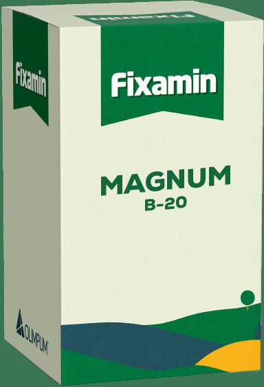 Fixamin Magnum B-20
